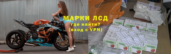 ECSTASY Бородино