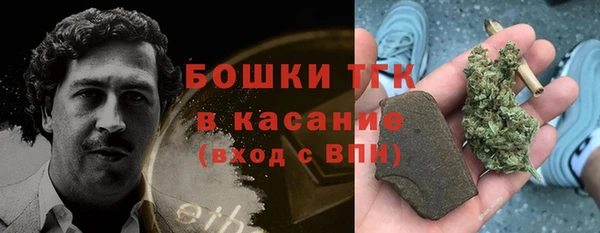ECSTASY Бородино