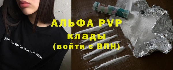 ECSTASY Бородино