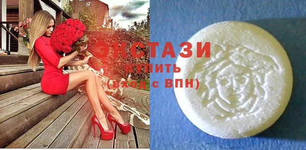 ECSTASY Бородино