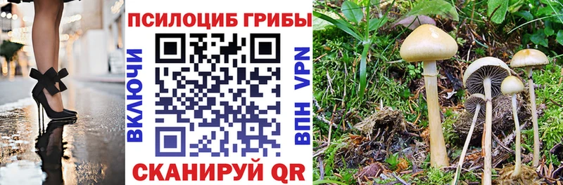 закладки Можайск Галлюциногенные грибы GOLDEN TEACHER