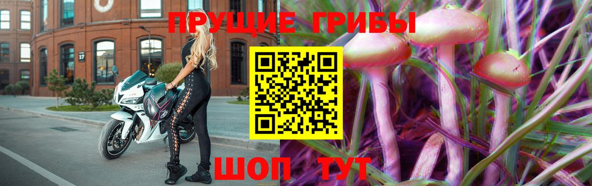 Псилоцибиновые грибы GOLDEN TEACHER  Вход с VPN  Можайск 