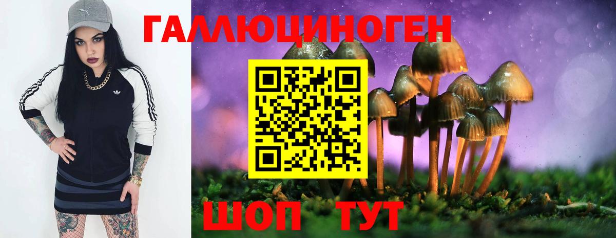 Галлюциногенные грибы MAGIC MUSHROOMS Можайск